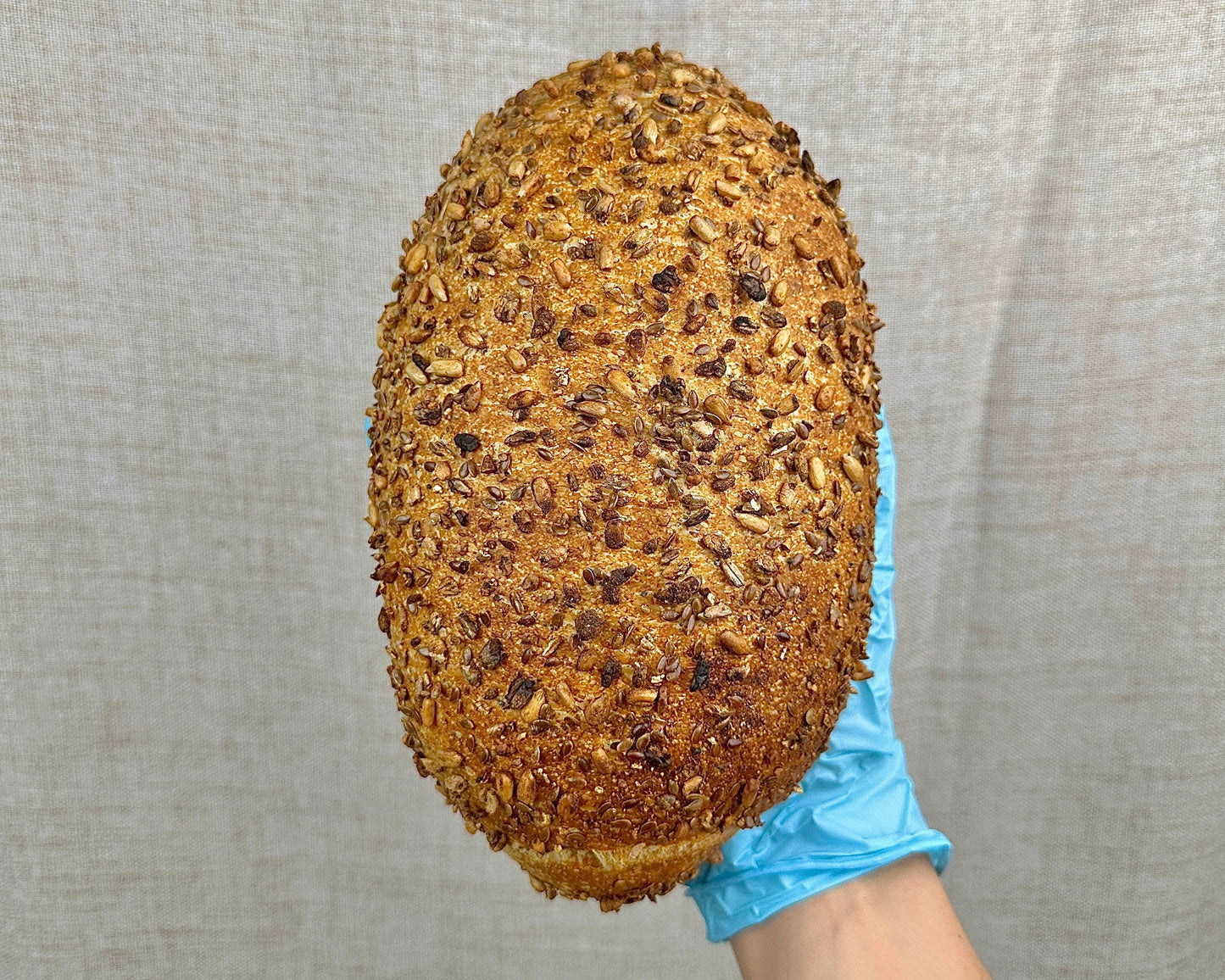 Loaf of bread with seeds held by a gloved hand against a neutral background