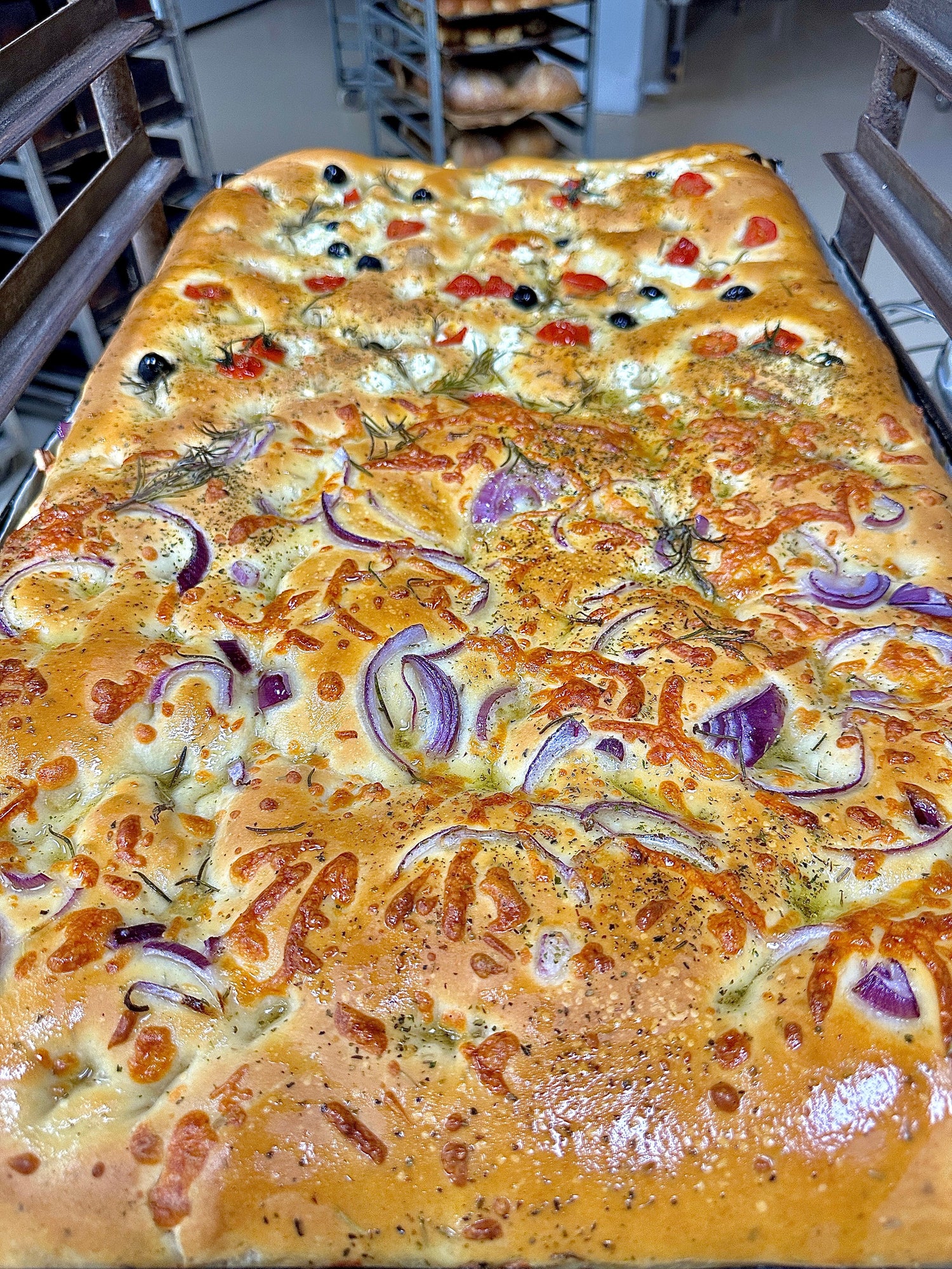 High-quality image of freshly baked artisan focaccia tray with olive oil, cheese and onion toppings, showcasing golden crust and airy Italian bread texture for bakery click & collect or wholesale.